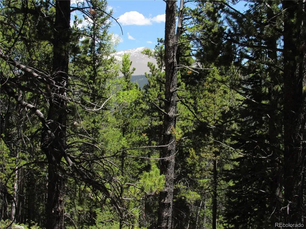 380 Georges Way Alma, CO 80420