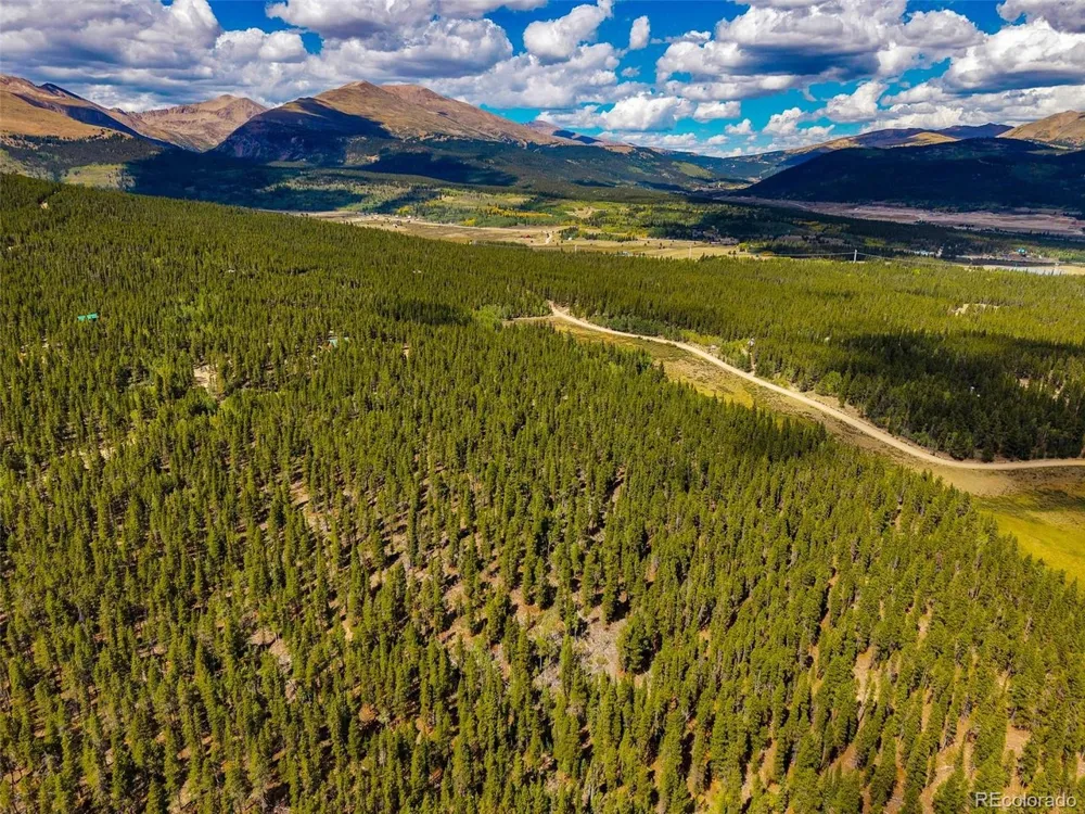 380 Georges Way Alma, CO 80420