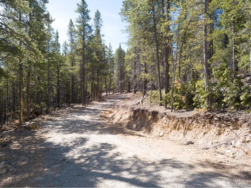 380 Georges Way Alma, CO 80420