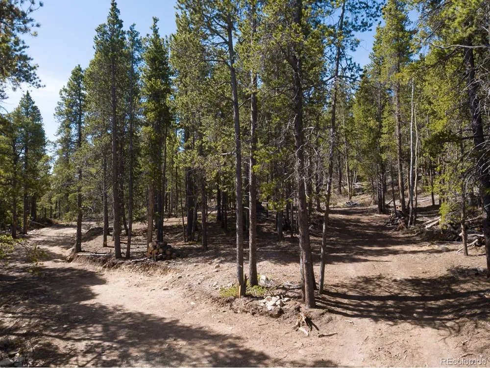 380 Georges Way Alma, CO 80420