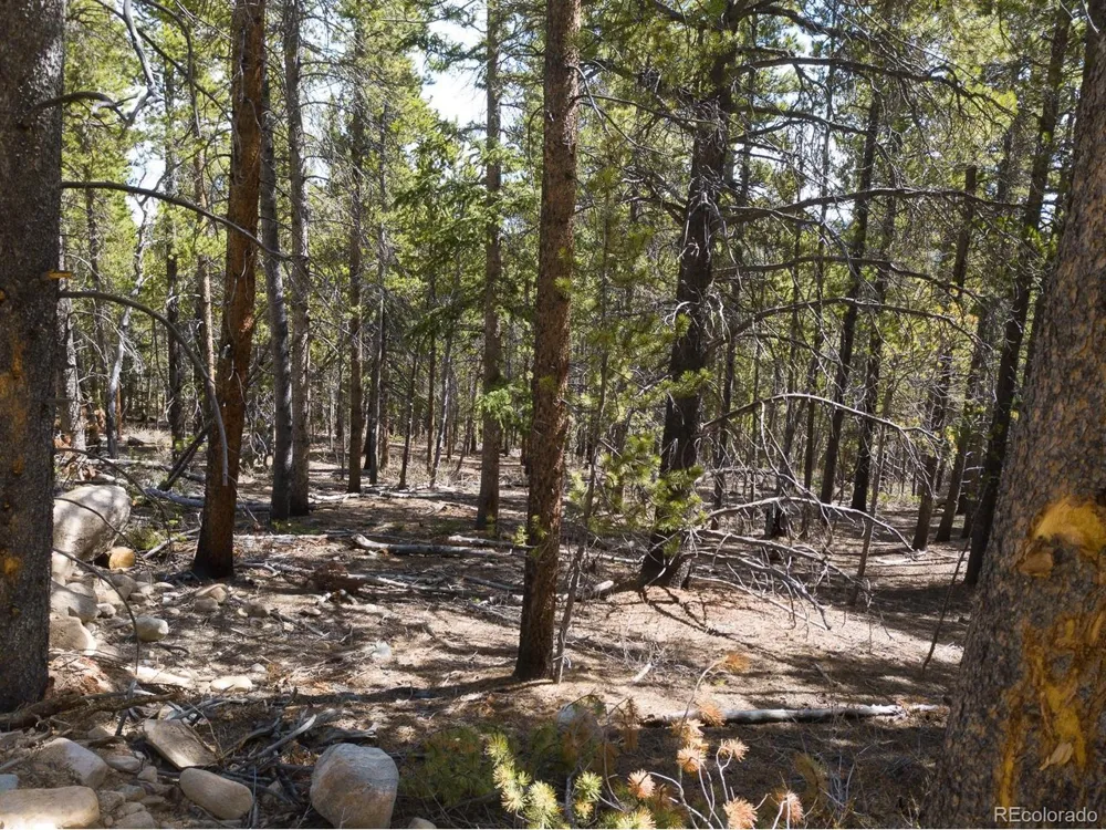 380 Georges Way Alma, CO 80420