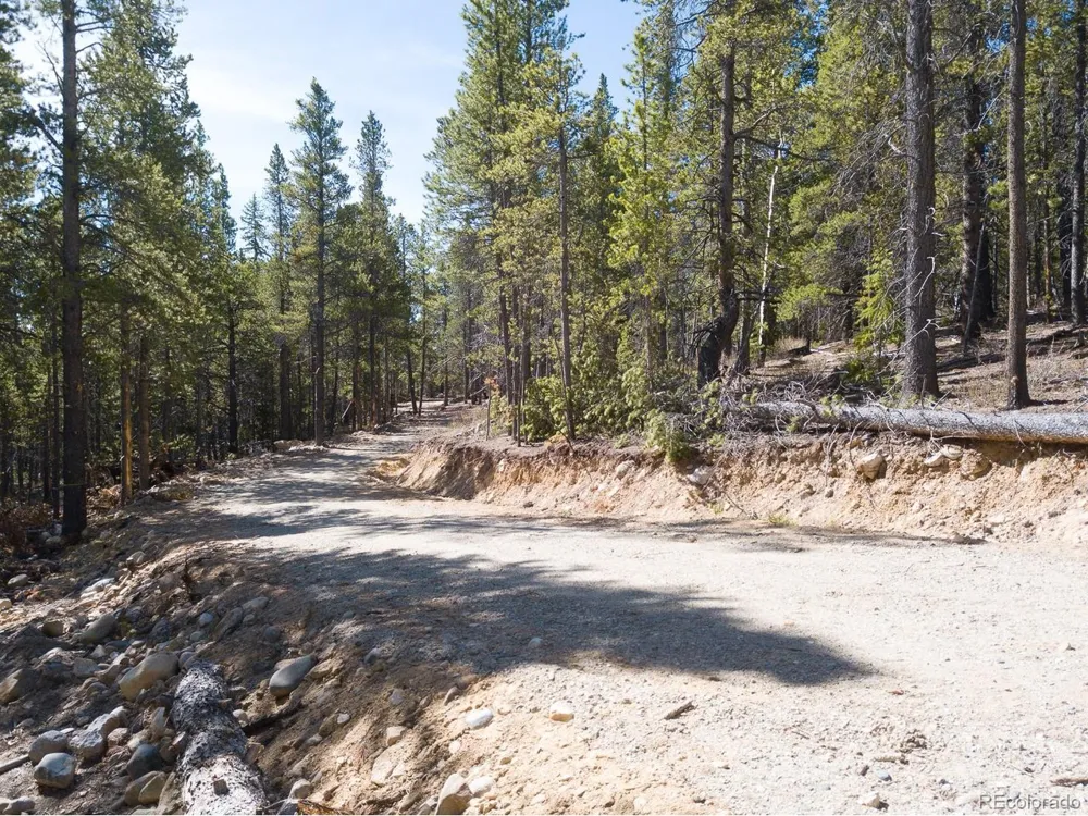 380 Georges Way Alma, CO 80420