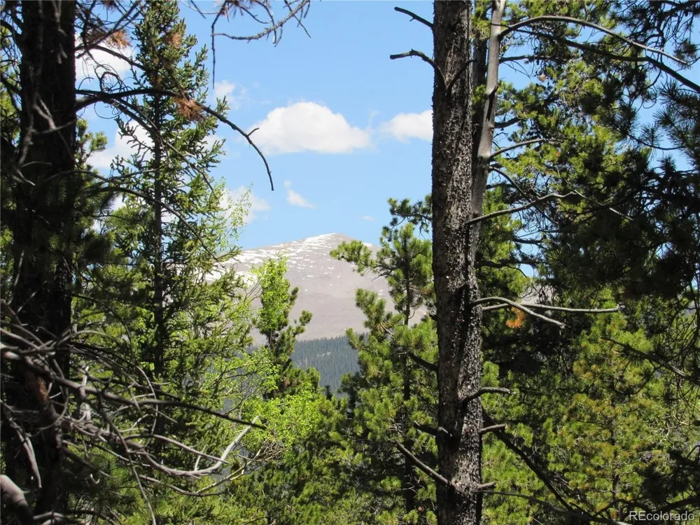 380 Georges Way Alma, CO 80420