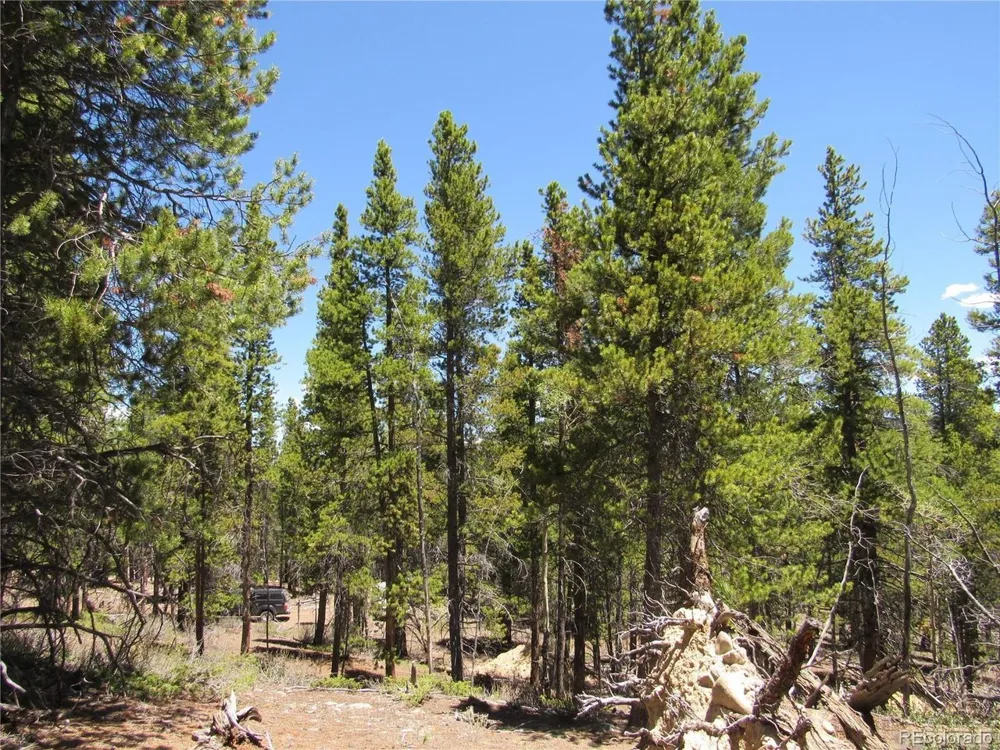 380 Georges Way Alma, CO 80420