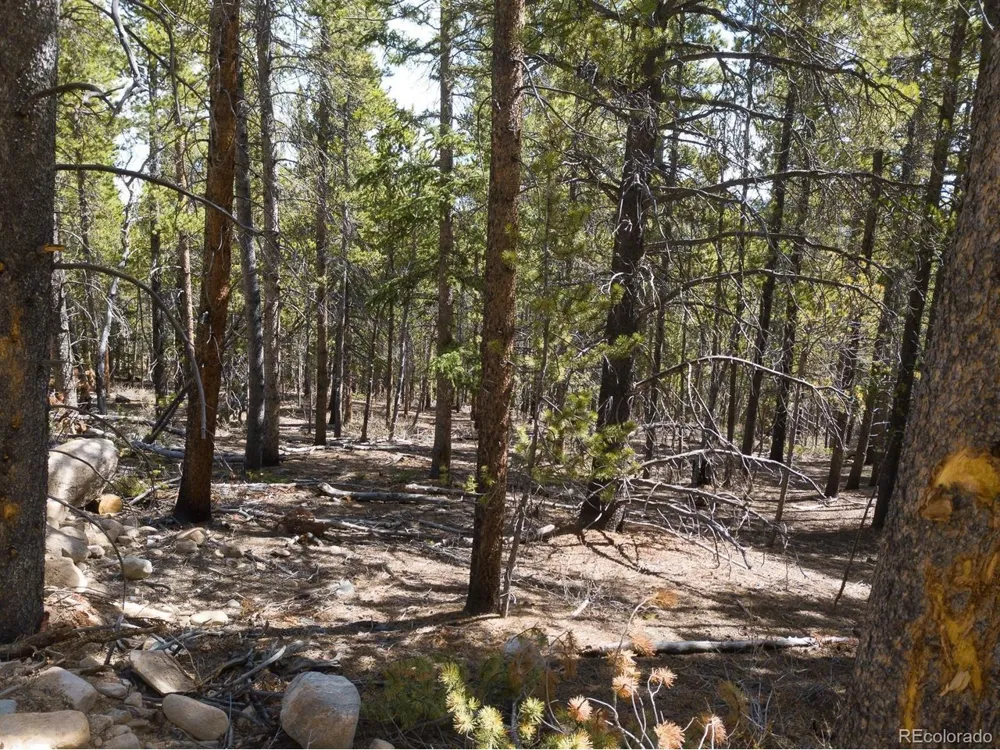 380 Georges Way Alma, CO 80420
