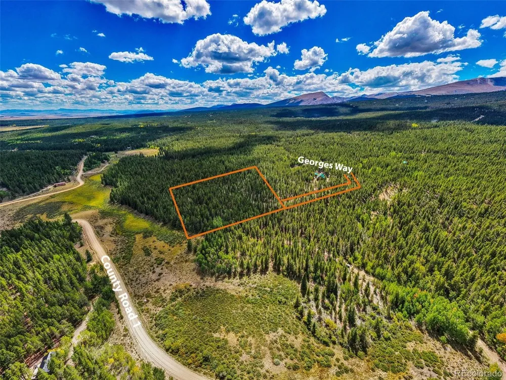 380 Georges Way Alma, CO 80420