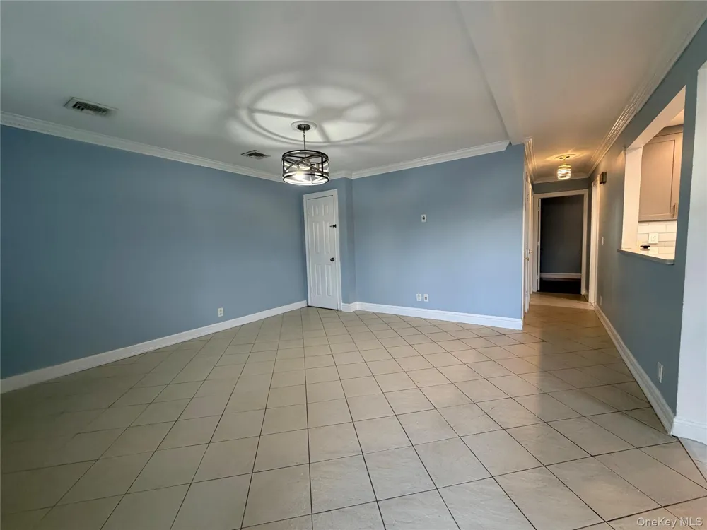 94 Lucille Avenue Elmont, NY 11003