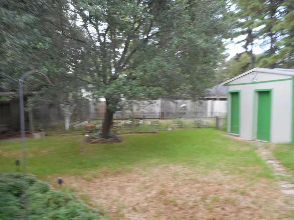 723 Levi Bend Magnolia, TX 77354