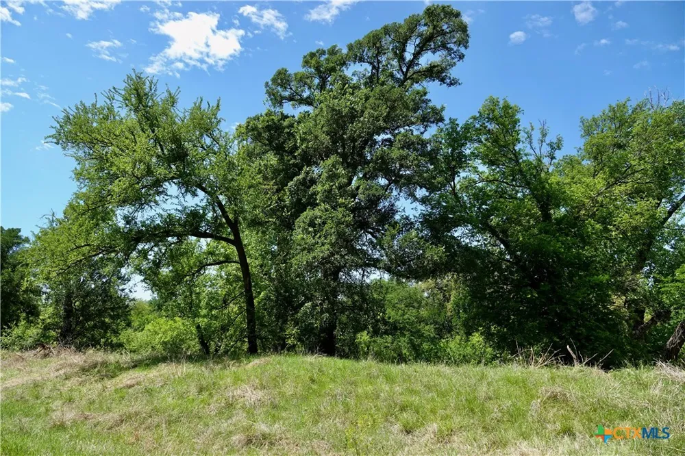 588 County Road 430 Goldthwaite, TX 76844