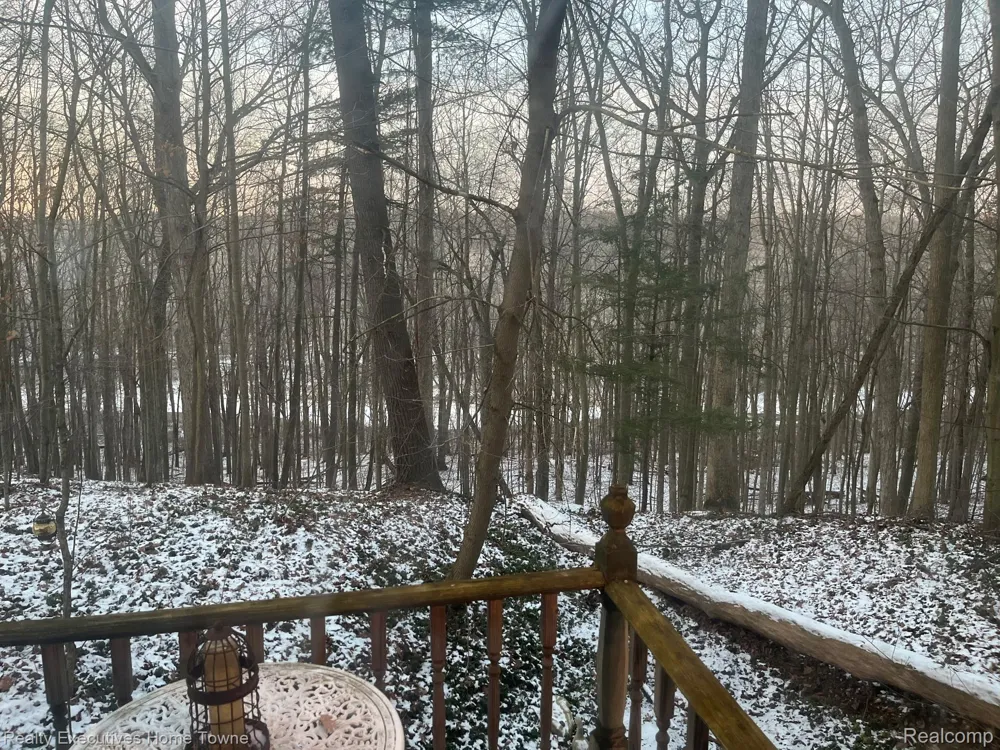 5665 Logging Lane Lane Clyde Township, MI 48049