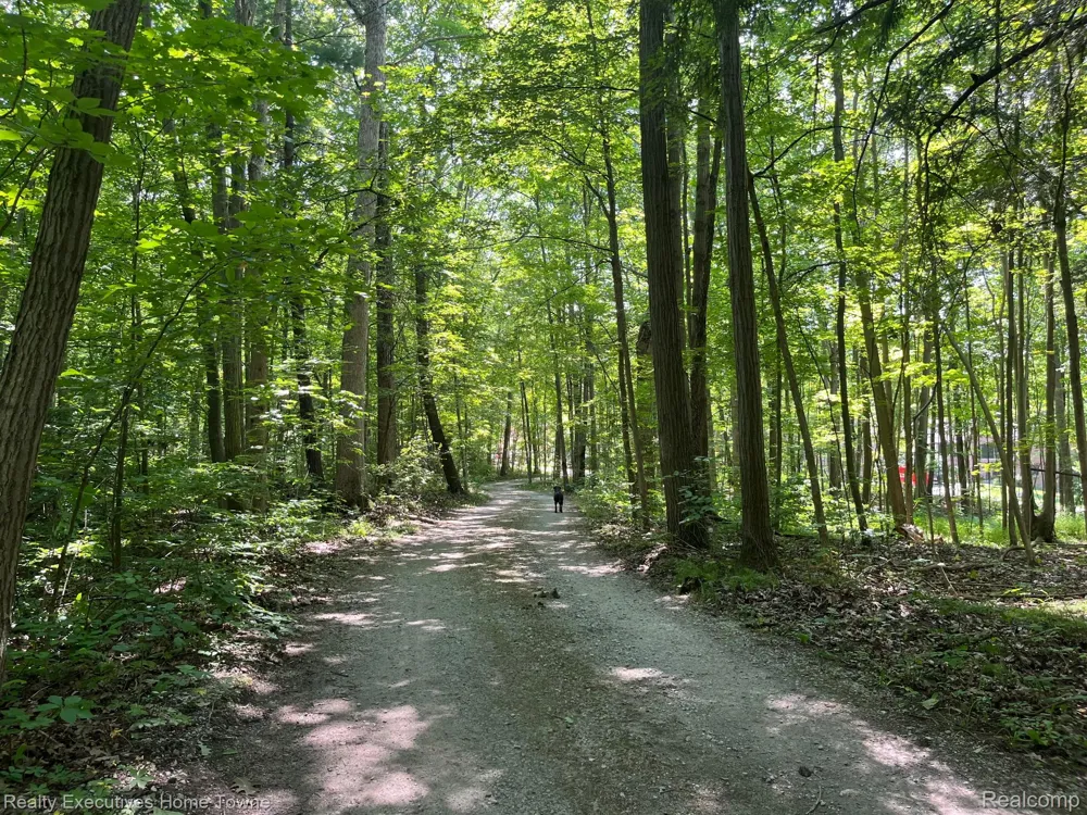 5665 Logging Lane Lane Clyde Township, MI 48049