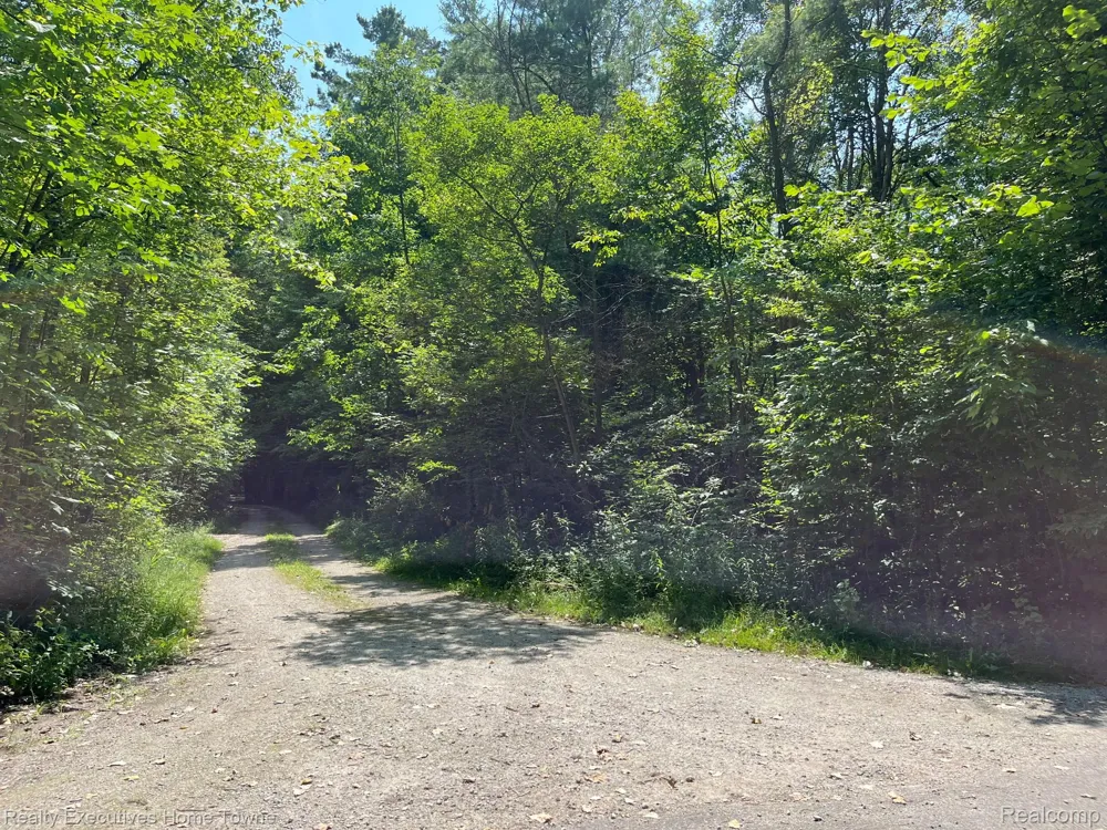 5665 Logging Lane Lane Clyde Township, MI 48049