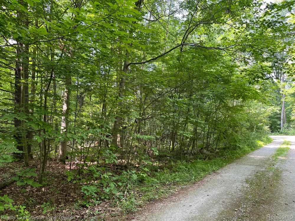 5665 Logging Lane Lane Clyde Township, MI 48049