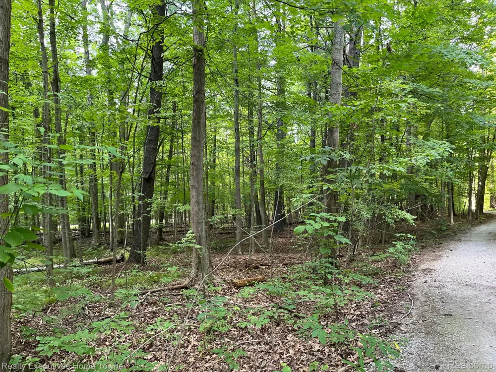 5665 Logging Lane Lane Clyde Township, MI 48049