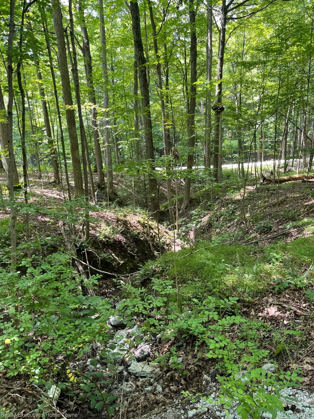 5665 Logging Lane Lane Clyde Township, MI 48049