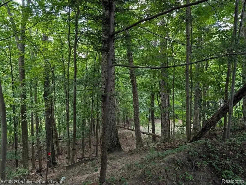5665 Logging Lane Lane Clyde Township, MI 48049