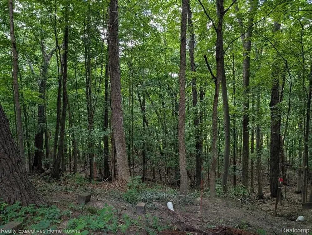5665 Logging Lane Lane Clyde Township, MI 48049