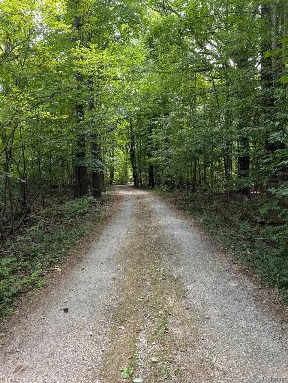 5665 Logging Lane Lane Clyde Township, MI 48049