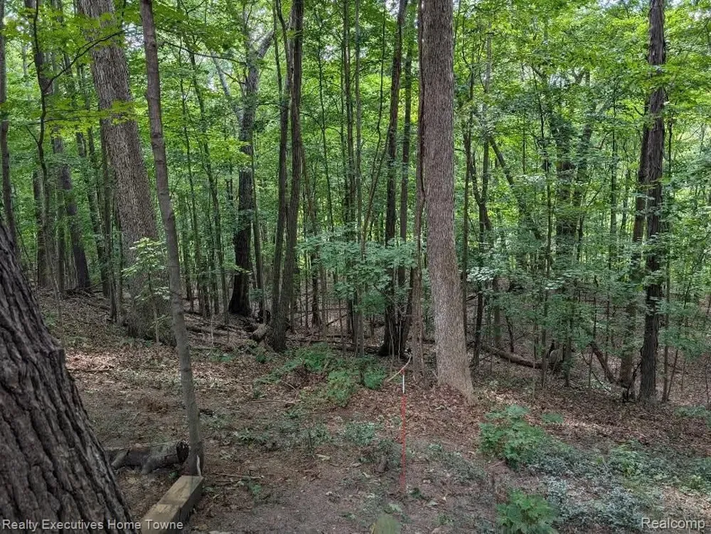 5665 Logging Lane Lane Clyde Township, MI 48049