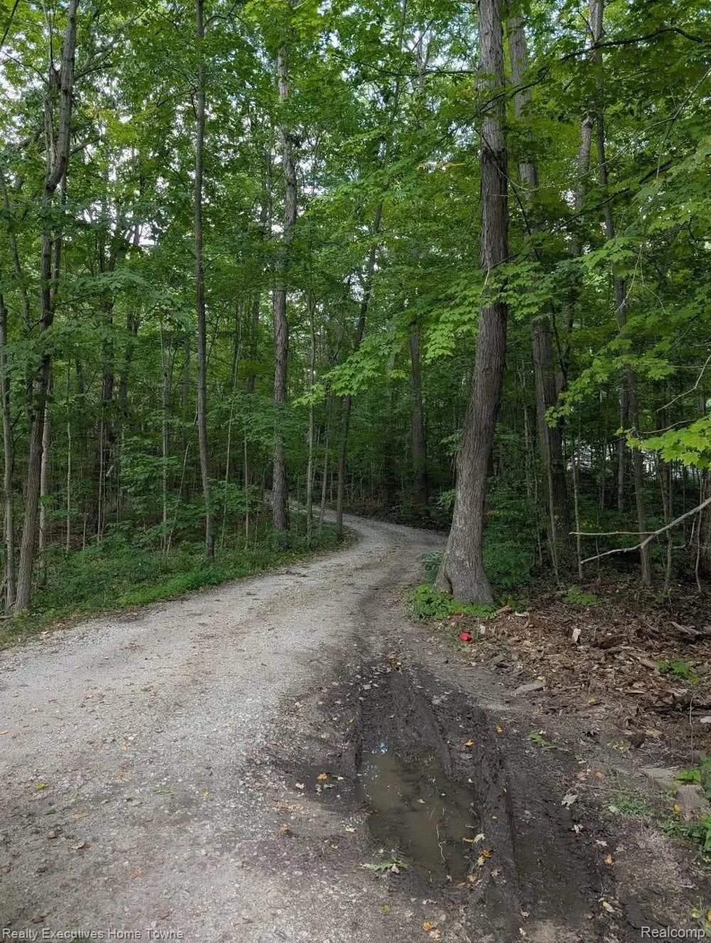 5665 Logging Lane Lane Clyde Township, MI 48049