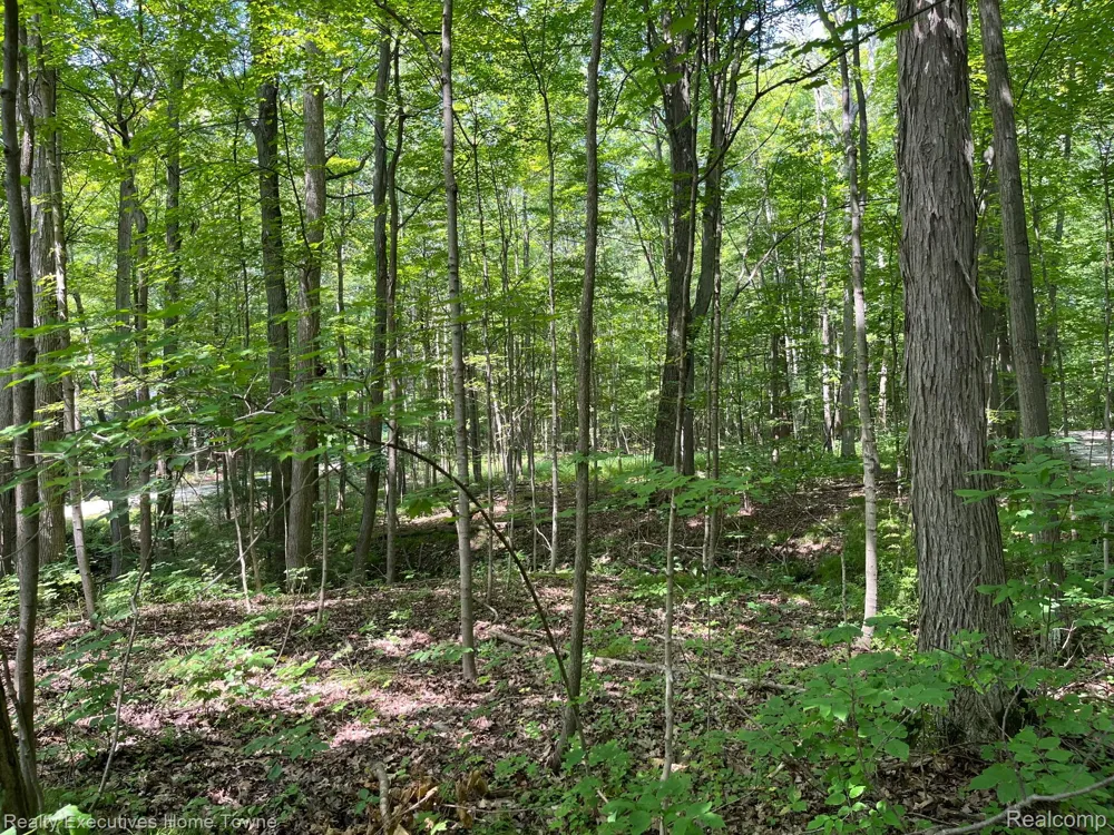 5665 Logging Lane Lane Clyde Township, MI 48049