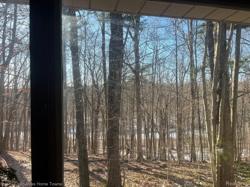 5665 Logging Lane Lane Clyde Township, MI 48049