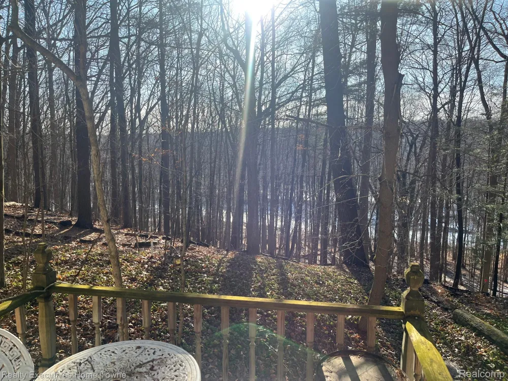 5665 Logging Lane Lane Clyde Township, MI 48049