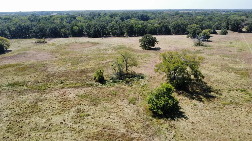 1000 Rs County Road 3237 Emory, TX 75440