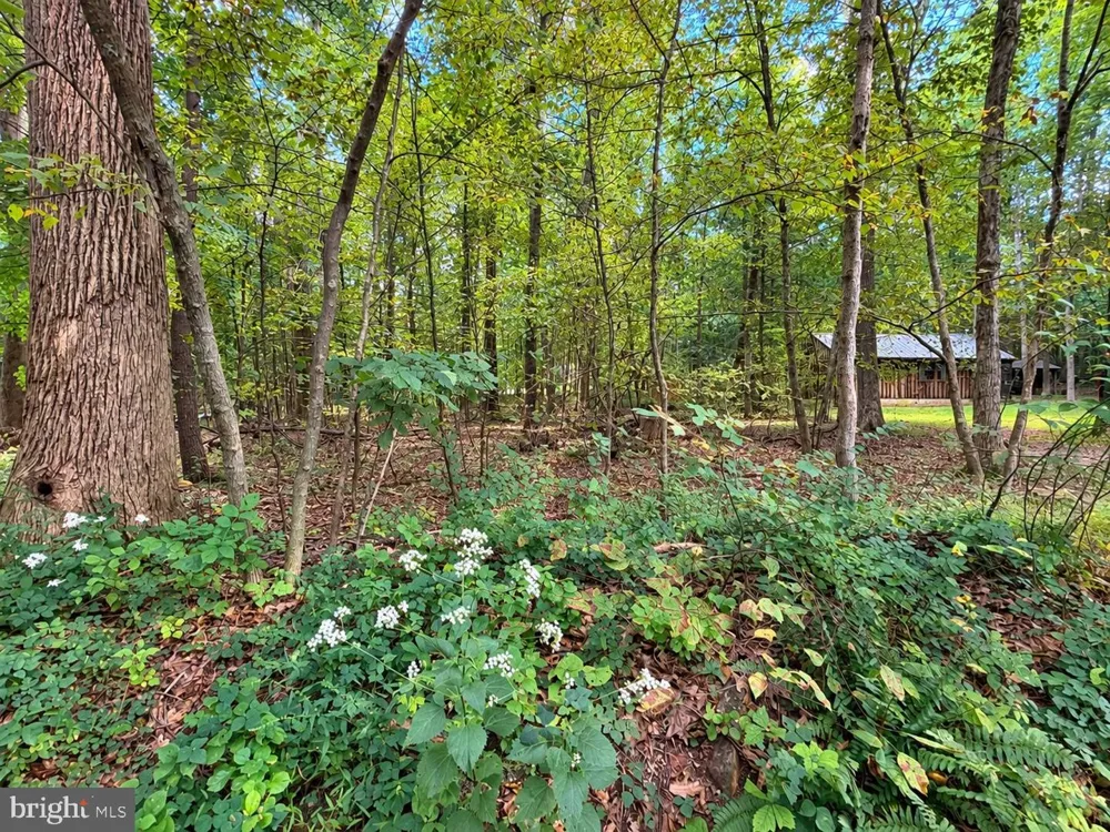 17196 OLD STUMPY LANE Fort Loudon, PA 17224