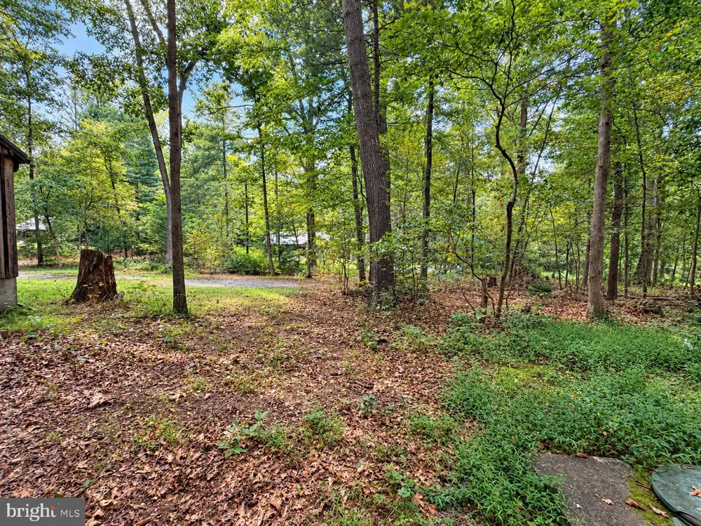 17196 OLD STUMPY LANE Fort Loudon, PA 17224