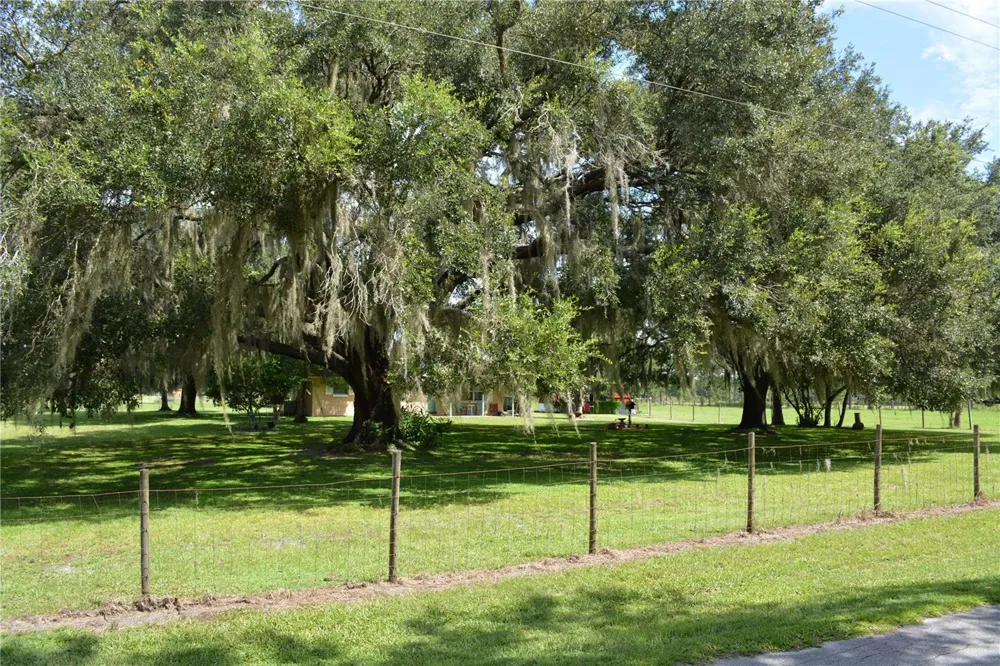 7826 CR 736 Center Hill, FL 33514