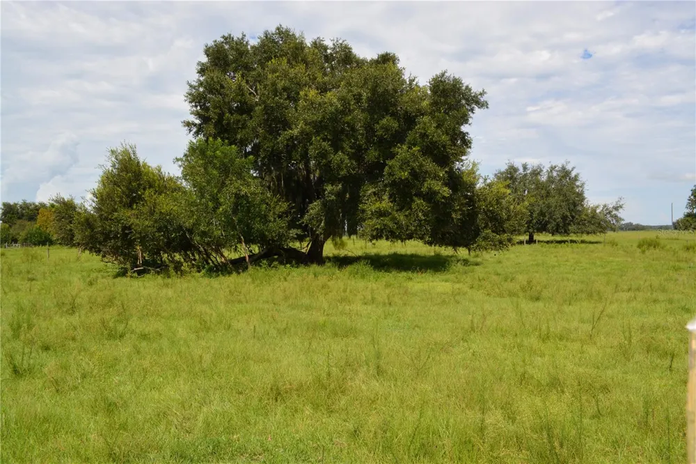7826 CR 736 Center Hill, FL 33514