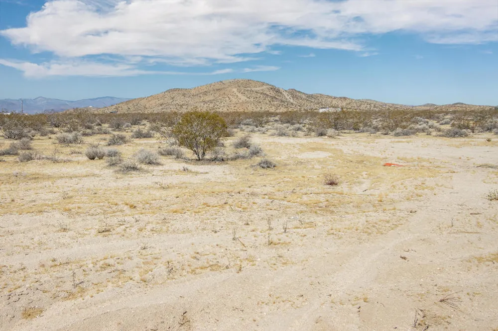 61231 Moonlight Mesa Street Joshua Tree, CA 92252