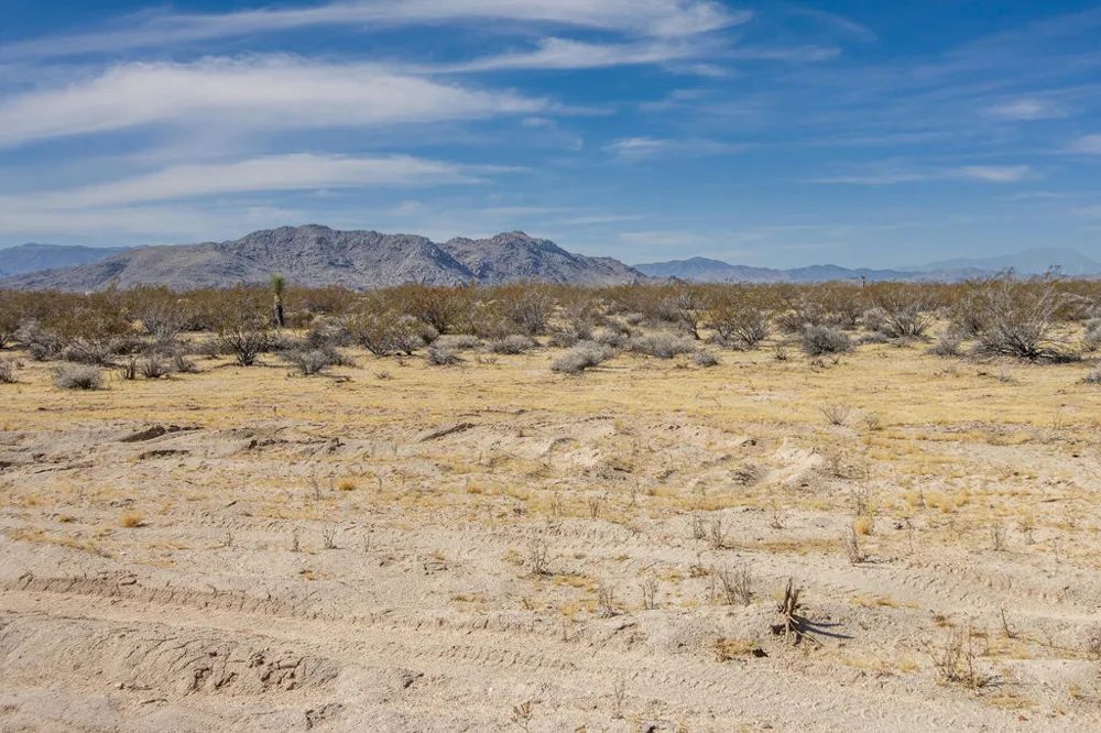 61231 Moonlight Mesa Street Joshua Tree, CA 92252