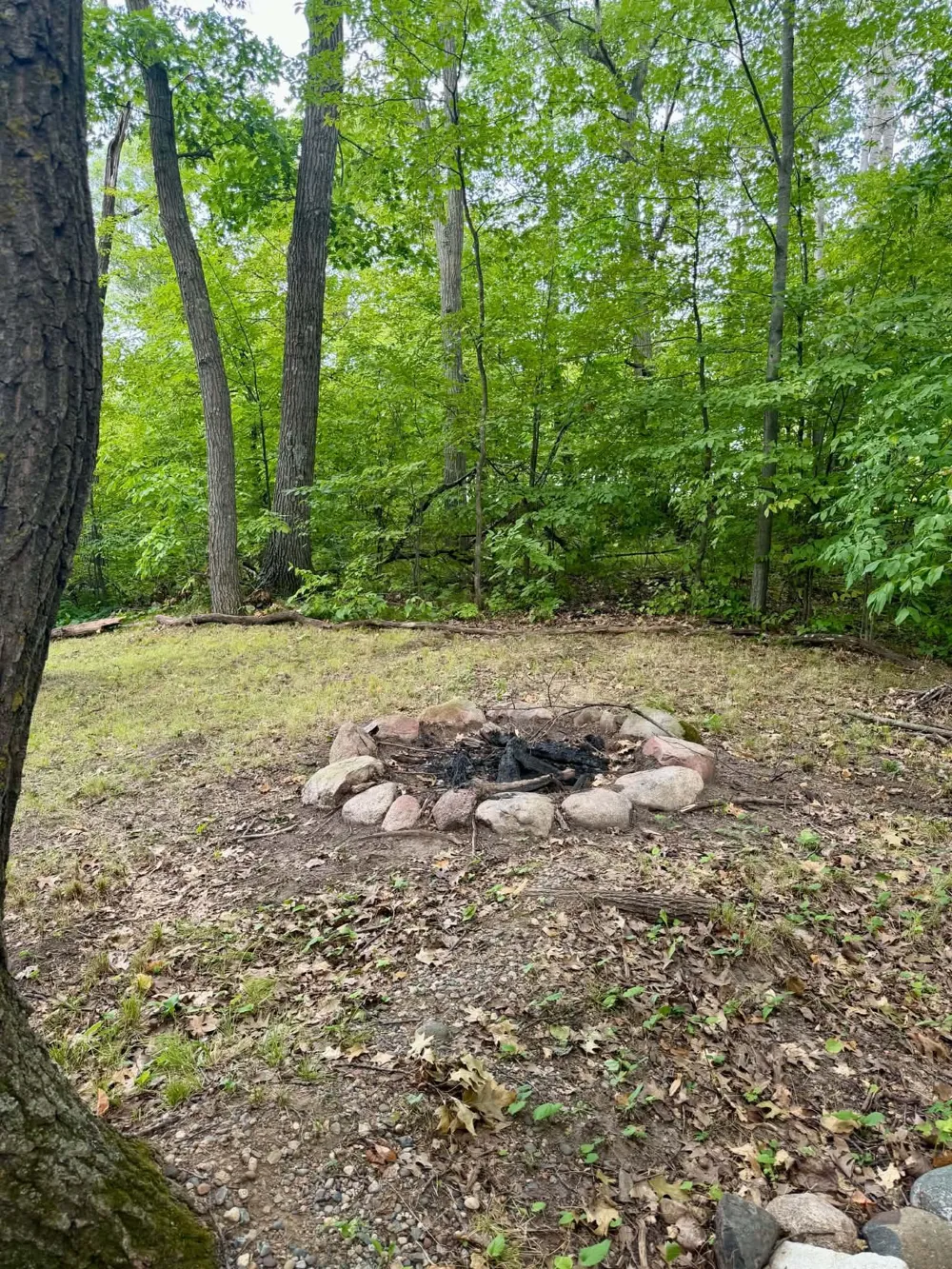 28572 Golf Course Circle Randall, MN 56475