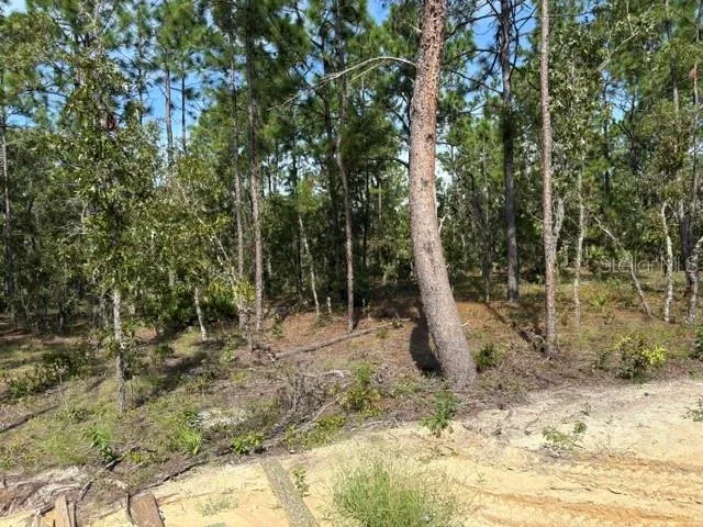 8642 SW 128TH TERRACE Dunnellon, FL 34432