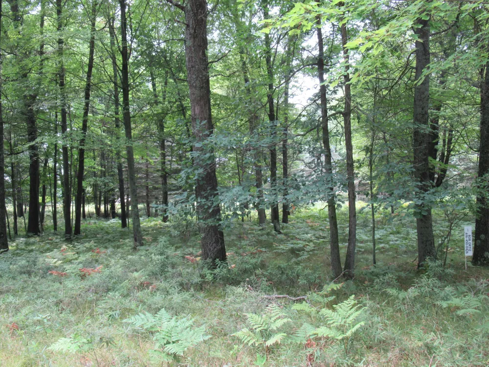 6869 Dunhill Drive Stanwood, MI 49346