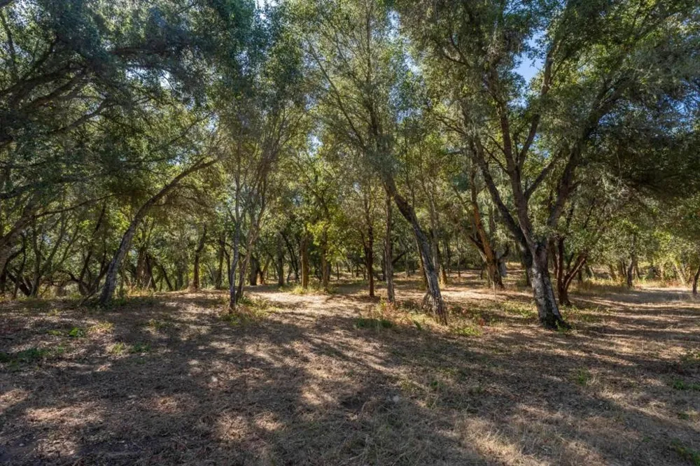 2 Arroyo Sequoia Carmel, CA 93923