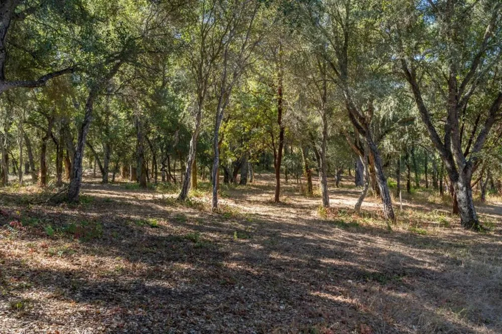 2 Arroyo Sequoia Carmel, CA 93923