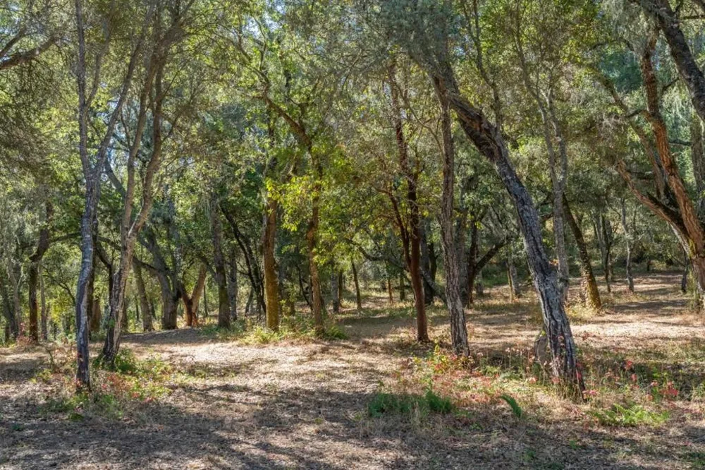2 Arroyo Sequoia Carmel, CA 93923