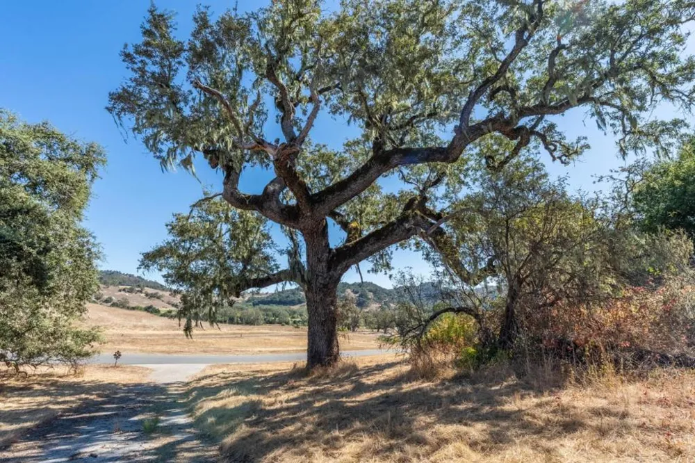 2 Arroyo Sequoia Carmel, CA 93923