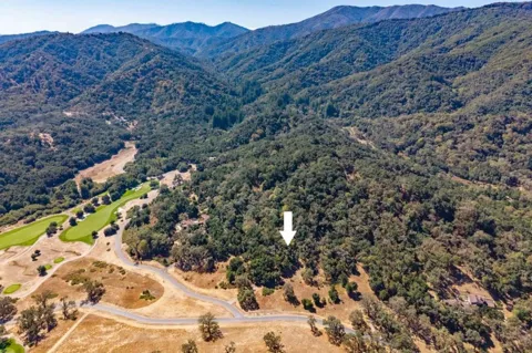 2 Arroyo Sequoia