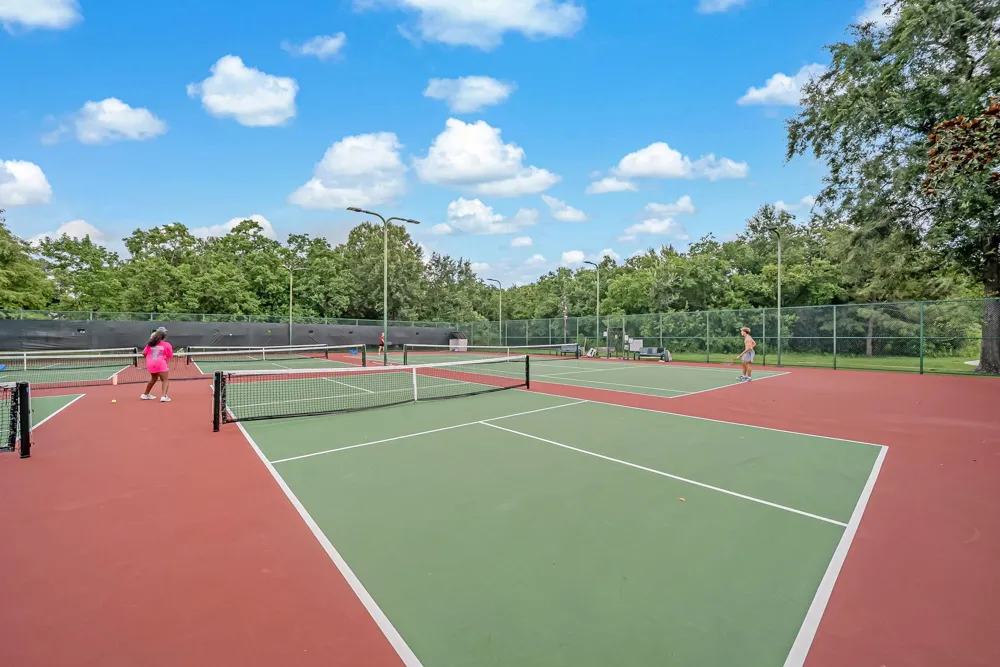 14043 Albany Springs Lane Houston, TX 77044