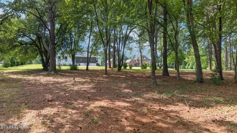 2460 Wild Pear Tr Dandridge, TN 37725