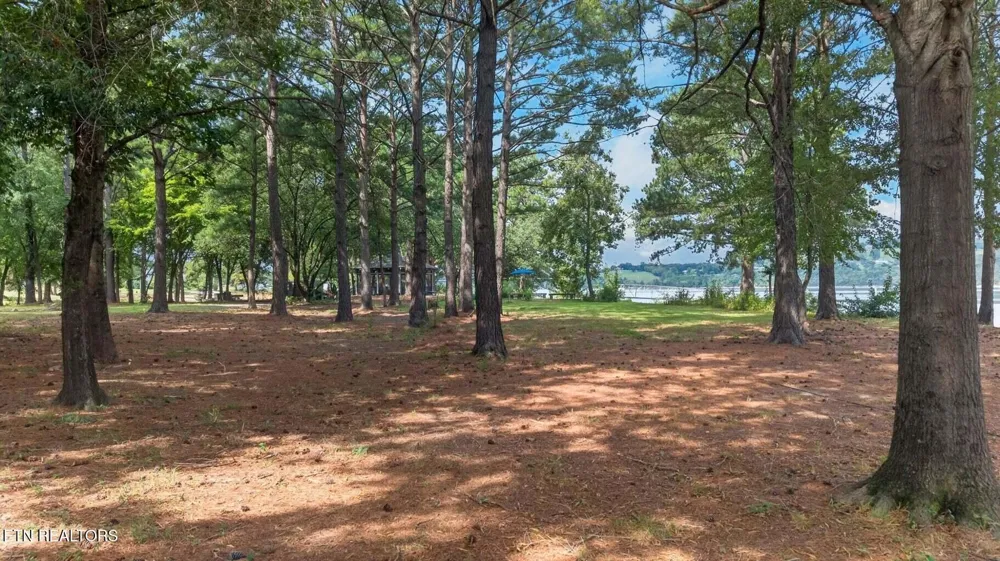 2460 Wild Pear Tr Dandridge, TN 37725