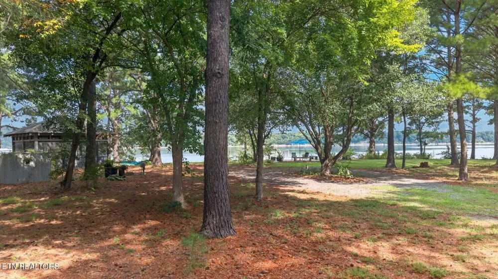 2460 Wild Pear Tr Dandridge, TN 37725