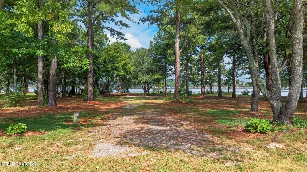 2460 Wild Pear Tr Dandridge, TN 37725