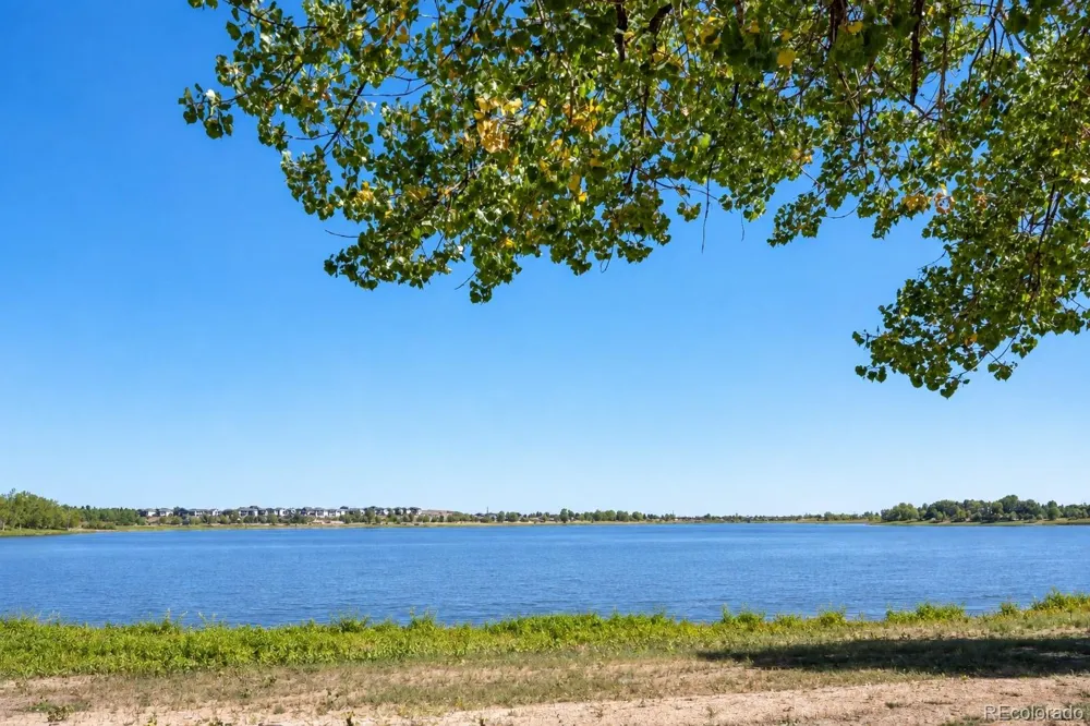 636 Cove Court Loveland, CO 80537