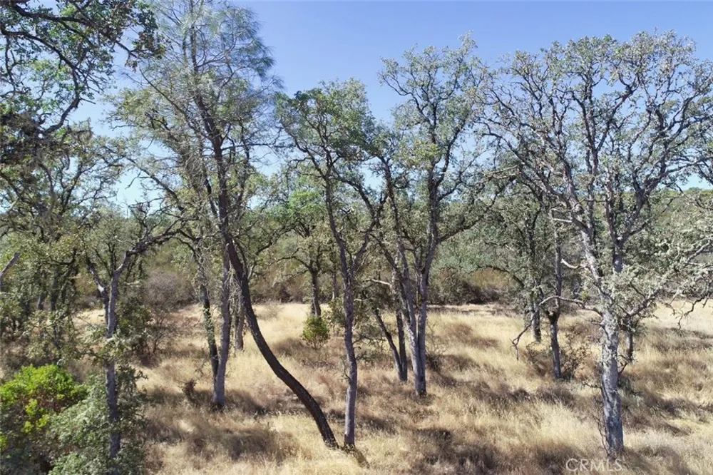 3000 State hwy 53 Clearlake, CA 95422