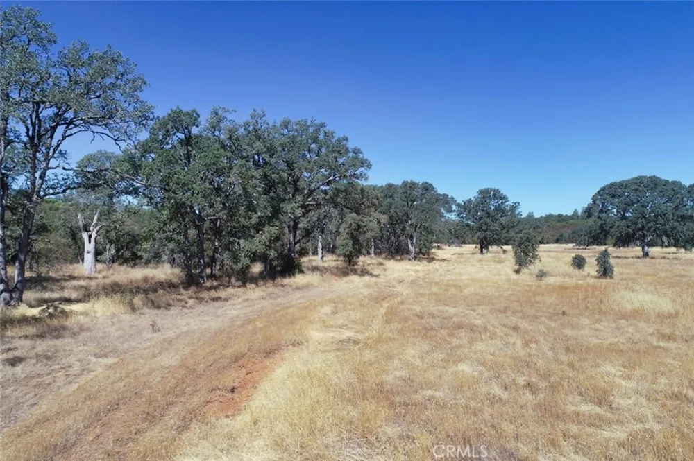 3000 State hwy 53 Clearlake, CA 95422